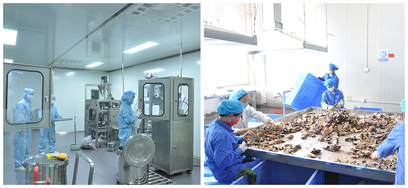 四川省一片葉藥業(yè)有限公司（匯濟(jì)康）(圖3)